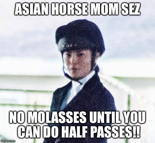 azn horse mom 3